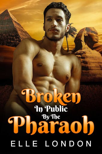 Broken In Public By The Pharaoh - undefined