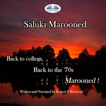 Saluki Marooned - undefined