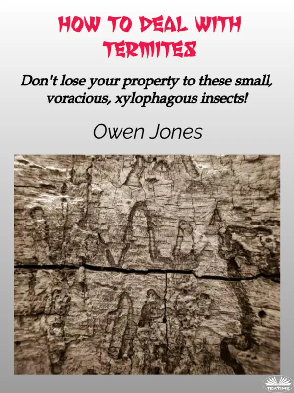 How To Deal With Termites : Don'T Lose Your Property To These Small, Voracious, Xylophagous Insects!