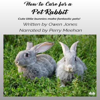 How To Care For A Pet Rabbit: Cute Little Bunnies Make Fantastic Pets! - undefined