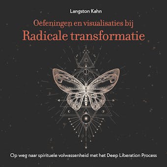 Oefeningen en visualisaties bij Radicale transformatie: Op weg naar spirituele volwassenheid met het Deep Liberation Process - Langston Kahn
