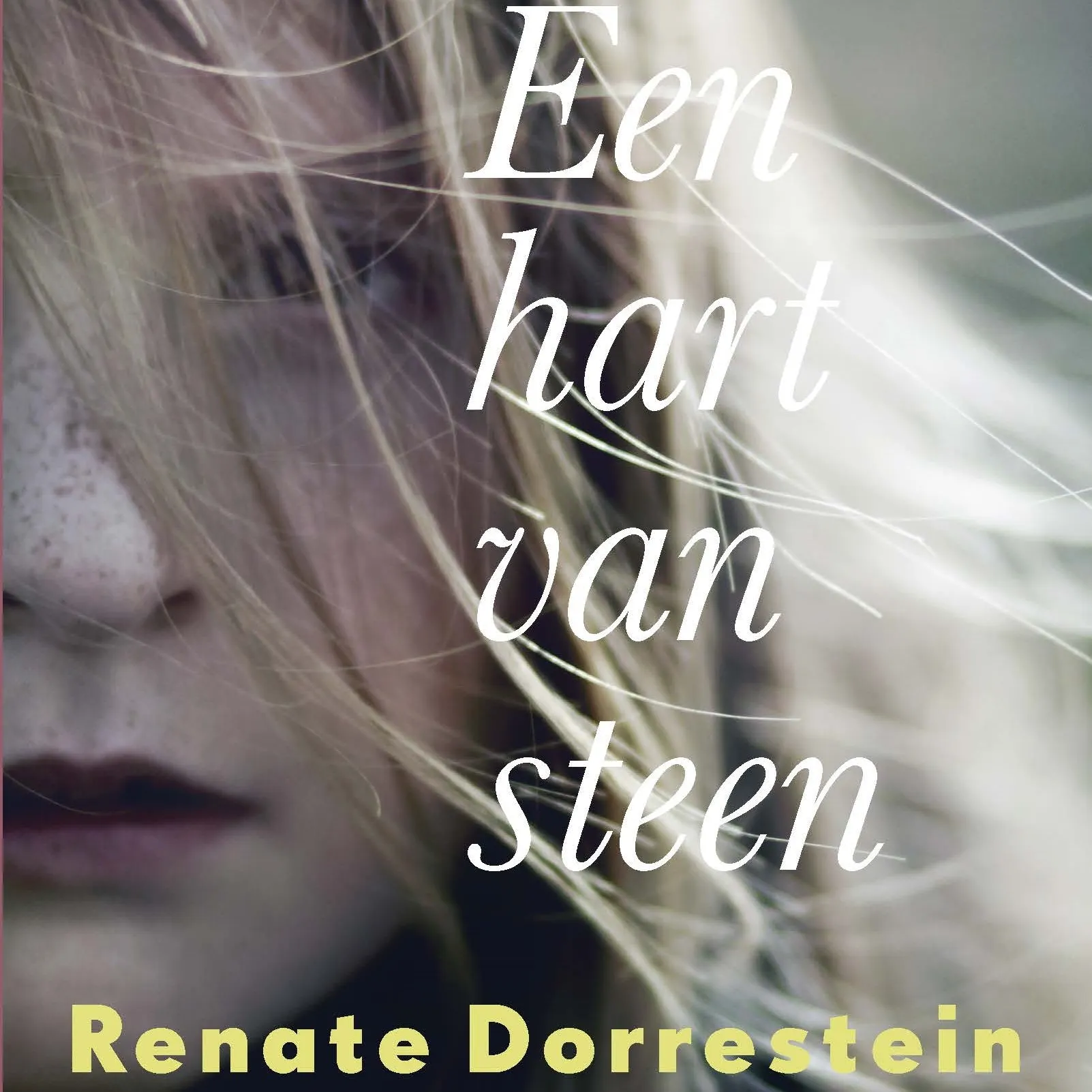 Een hart van steen audioboek en