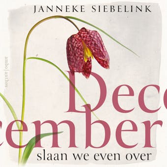 December slaan we even over: Verhalen over het leven uit het hospice - Janneke Siebelink