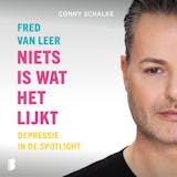 Omslag van Niets is wat het lijkt : Depressie in de spotlight