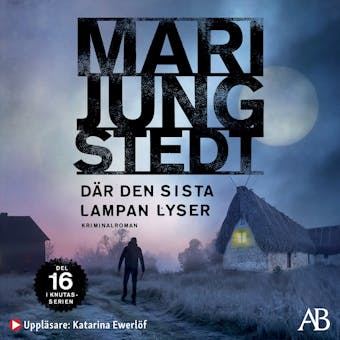 Där den sista lampan lyser - Mari Jungstedt