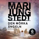 Omslag till Den mörka ängeln