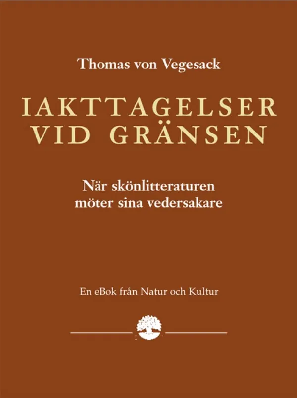 Iakttagelser vid gränsen
