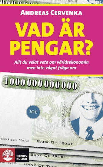 Vad är pengar? : Allt du velat veta om världsekonomin men inte vågat fråga om - undefined