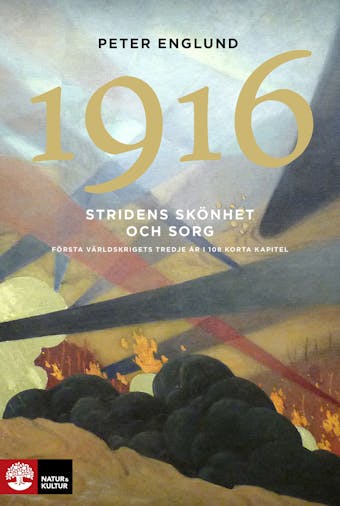 Stridens skönhet och sorg 1916 - Peter Englund