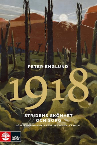 Stridens skönhet och sorg 1918 : första världskrigets sista år i 88 korta kapitel - Peter Englund