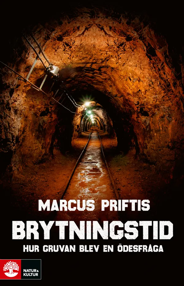 Brytningstid : hur gruvan blev en ödesfråga