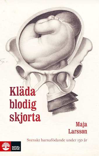 Kläda blodig skjorta : Svenskt barnafödande under 150 år - undefined