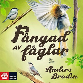Fångad av fåglar - Anders Brodin