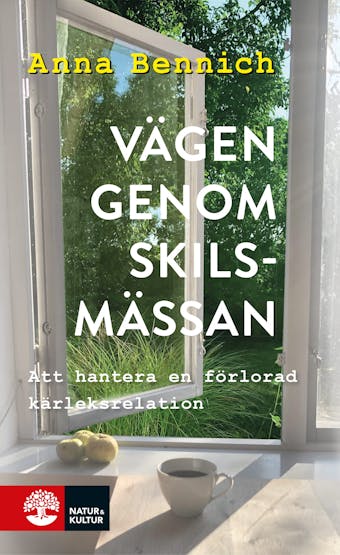 Vägen genom skilsmässan