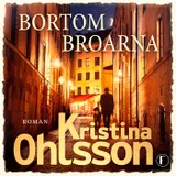 Omslag till Bortom broarna