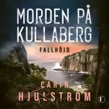 Omslag till Fallhöjd