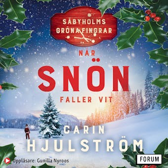 När snön faller vit - Carin Hjulström