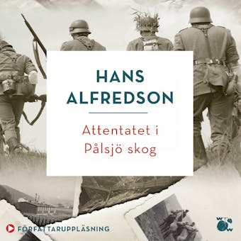 Attentatet i Pålsjö skog - Hans Alfredson