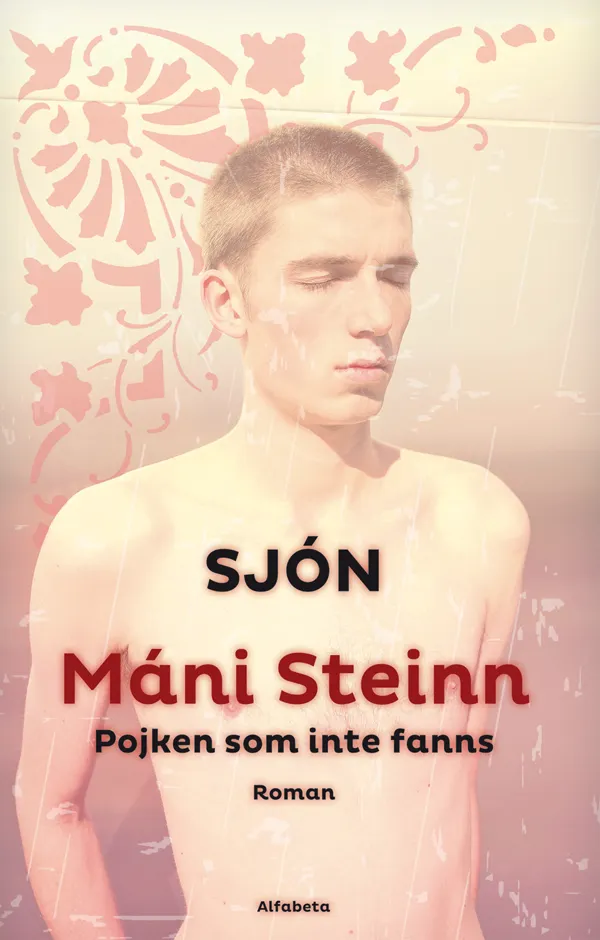 Máni Steinn : pojken som inte fanns