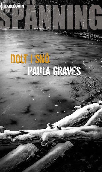 Dolt i snö - Paula Graves