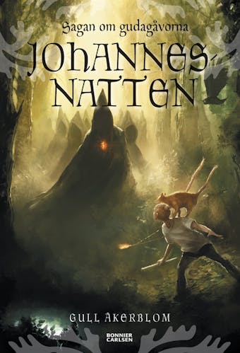 Johannesnatten - undefined