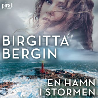 En hamn i stormen - Birgitta Bergin