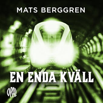 En enda kväll - Mats Berggren