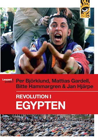 Revolution i Egypten - undefined