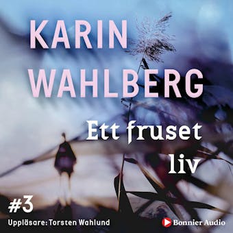 Ett fruset liv - Karin Wahlberg