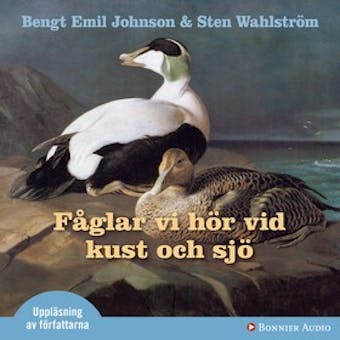 Fåglar vi hör vid kust och sjö - Sten Wahlström, Bengt Emil Johnson