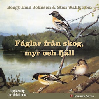 Fåglar från skog, myr och fjäll - Sten Wahlström, Bengt Emil Johnson