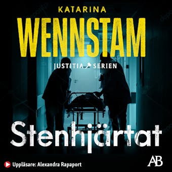 Stenhjärtat - Katarina Wennstam