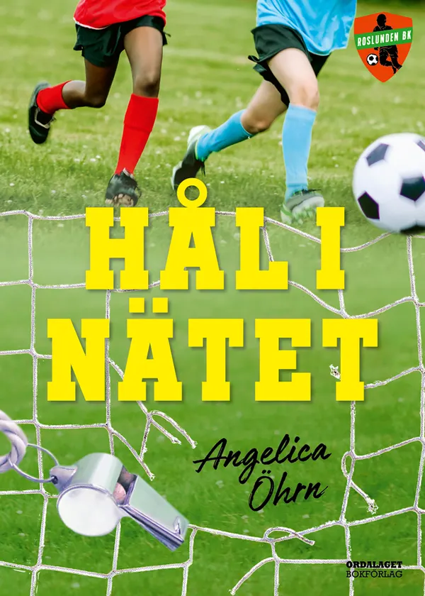 Hål i nätet