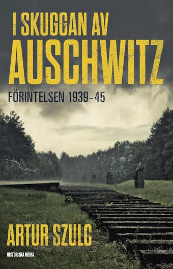 I skuggan av Auschwitz : förintelsen 1939-45 - undefined