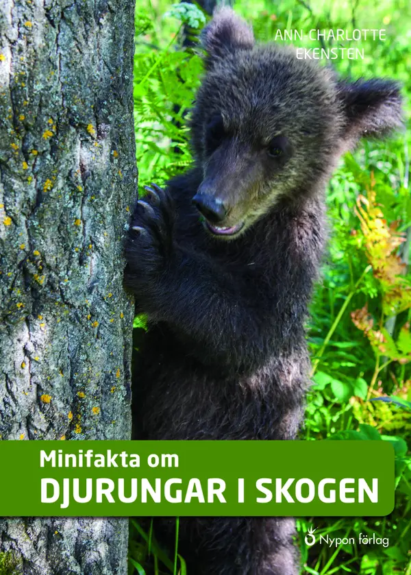 Minifakta om djurungar i skogen