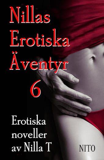 Nillas Erotiska Äventyr 6 - Erotik : Erotiska noveller - Nilla T