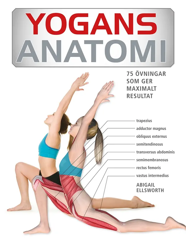 Yogans anatomi : 75 övningar som ger maximalt resultat