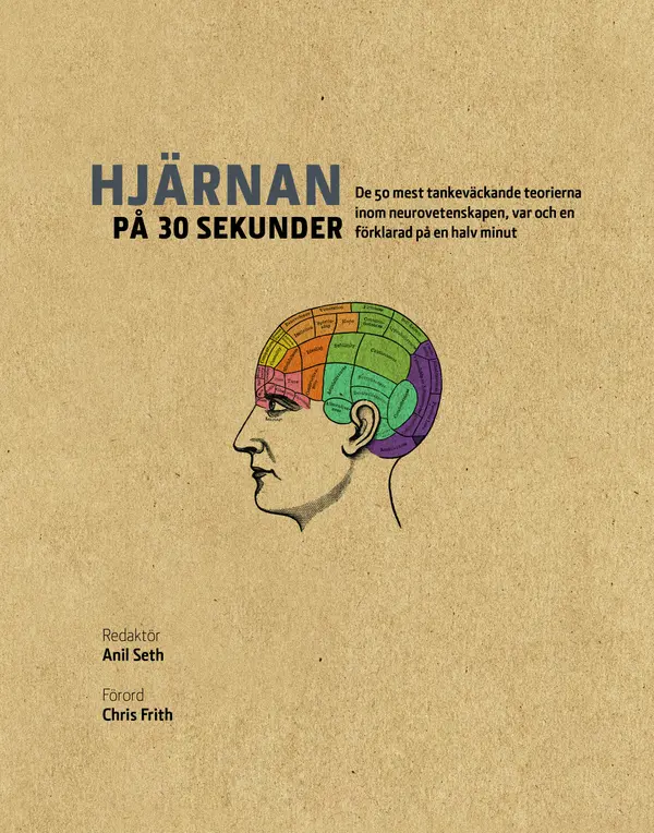 Hjärnan på 30 sekunder