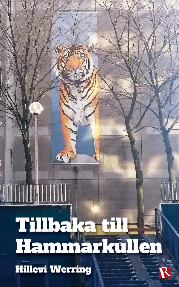 Tillbaka till Hammarkullen