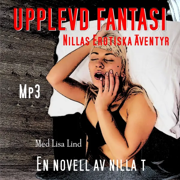 Upplevd Fantasi - Erotik : Nillas Erotiska Äventyr