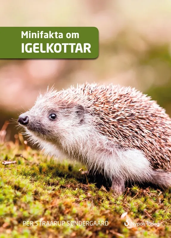 Minifakta om igelkottar