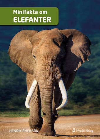 Minifakta om elefanter - Henrik Enemark