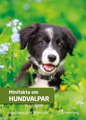 Minifakta om hundvalpar - Ann-Charlotte Ekensten