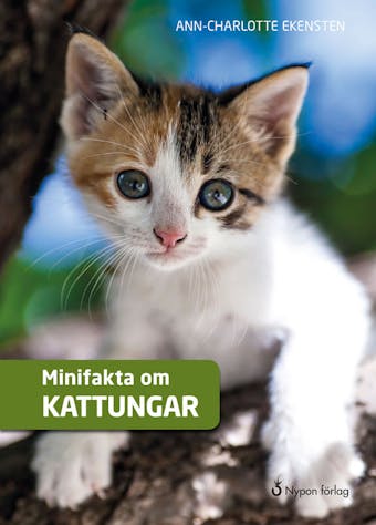 Minifakta om kattungar - Ann-Charlotte Ekensten