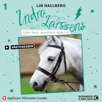 Indra Larssons inte helt perfekta hästliv - Lin Hallberg