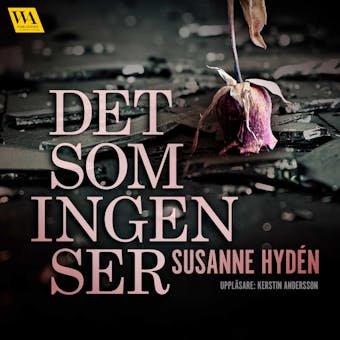 Det som ingen ser - Susanne Hydén