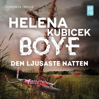 Den ljusaste natten - Helena Kubicek Boye