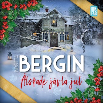 Älskade jävla jul - Birgitta Bergin