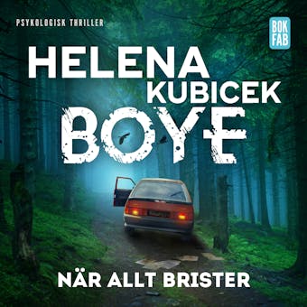 NÃ¤r allt brister - Helena Kubicek Boye