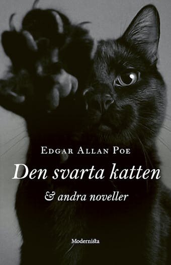 Den svarta katten och andra noveller - Edgar Allan Poe